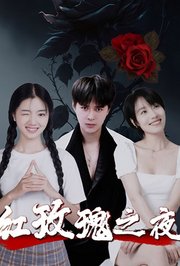 红玫瑰之夜