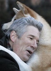 经典电影《忠犬八公》，从狗狗的视角去诠释什么叫做忠诚和爱
