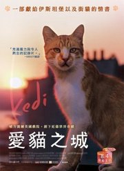 爱猫之城