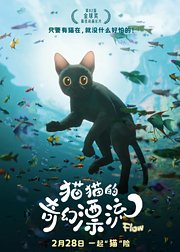 猫猫的奇幻漂流