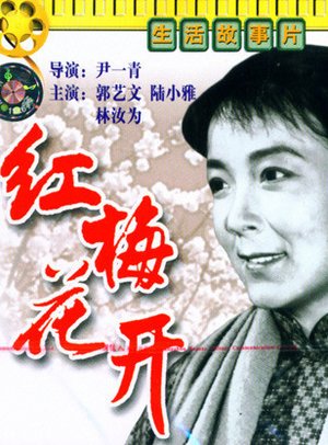 红梅花开