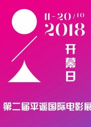 2018第二届平遥国际电影展开幕日