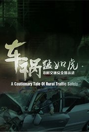 车祸猛如虎-农村交通安全警示录
