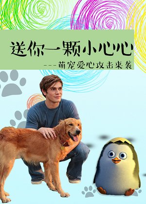 萌宠情未了