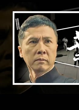 叶问4详细的解说