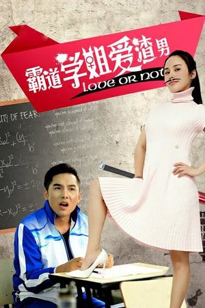 霸道学姐爱渣男