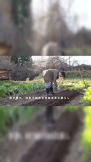 小森林夏秋篇精彩合集