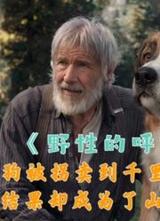 励志电影《野性的呼唤》，人只有经历过才会成长，看完不哭你打我