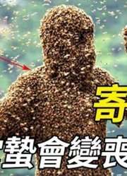 体型微小的寄生蜂竟是自然界的隐藏boss？将对手变成可操控的丧尸，人类科幻电影成成现实！