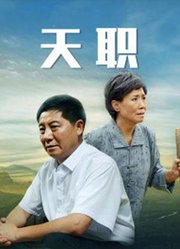 天职（2013）