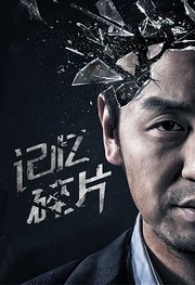 记忆碎片（2016）