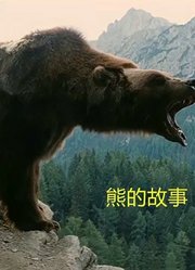 真实事件改编冷门佳作：猎人暗算熊，熊却放了他