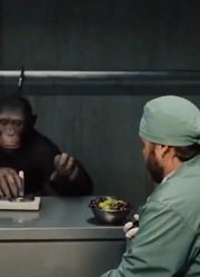 人类用猩猩做实验，提高了智商不受控制，与人类拉开对立大战