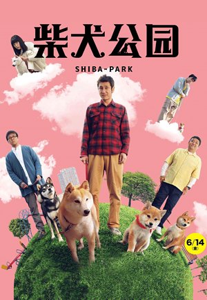 柴犬公园