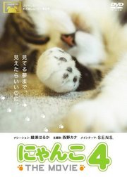 猫咪物语4