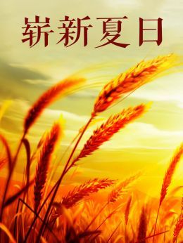 崭新夏日