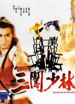 三闯少林（粤语）