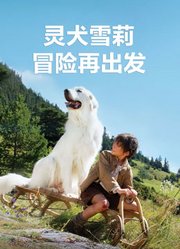 灵犬雪莉：冒险再出发