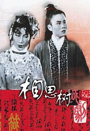 相思树