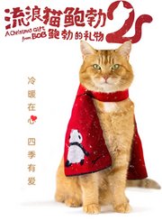流浪猫鲍勃2：鲍勃的礼物-普通话