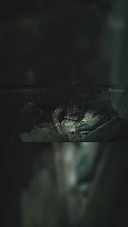 唐山大地震精彩合集