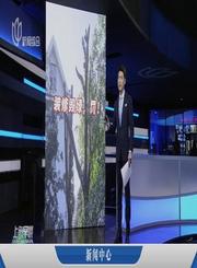 人教版英语八年级上册