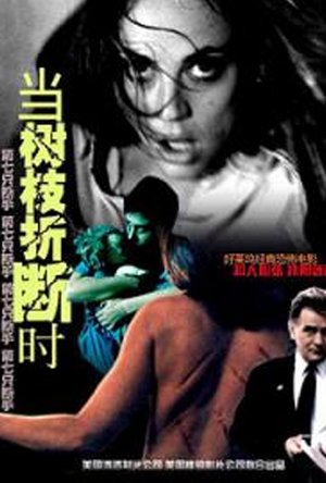 当树枝折断时