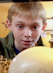 科幻片：小男孩利用基因回溯技术，拿着鸵鸟蛋，孵出一只小恐龙！