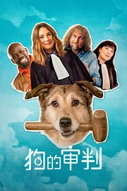 狗的审判