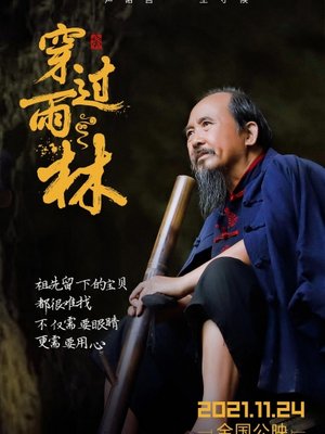 穿过雨林