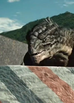 discuss-image