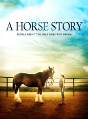 马的故事