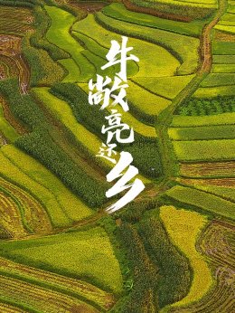 牛敞亮还乡