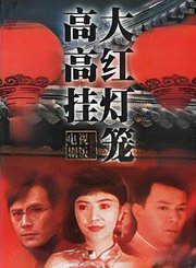 大红灯笼高高挂