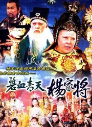 碧血青天杨家将