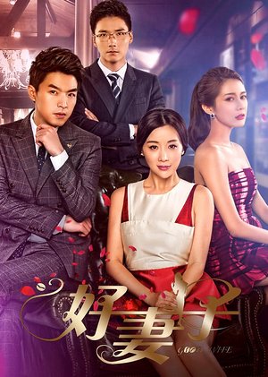 好妻子速看版