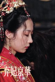 弃妃京华