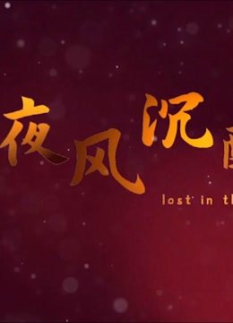 夜风沉醉