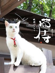 猫侍第1季