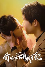 你的深情我不配