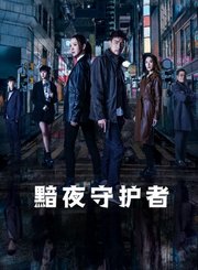 黯夜守护者-普通话版