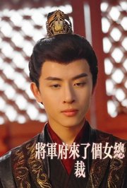 将军府来了个女总裁