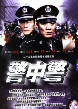 警中警