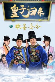 皇子归来之欢喜县令