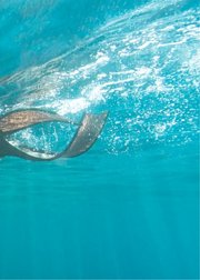 《方案a》测试