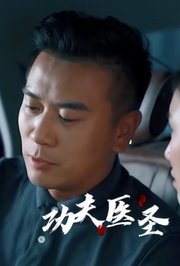 功夫医圣