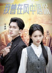 我曾在风中遇你