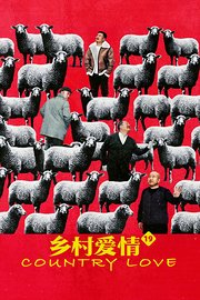 乡村爱情19