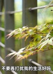 【危情实录】同学会里我们又相遇了