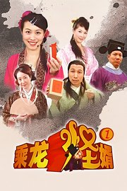 乘龙怪婿第一部